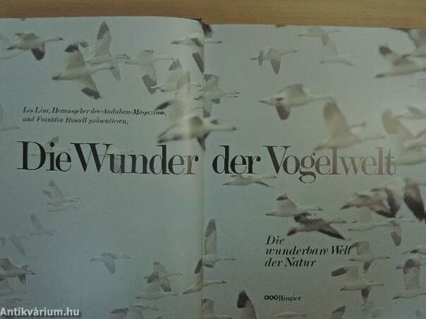 Die Wunder der Vogelwelt