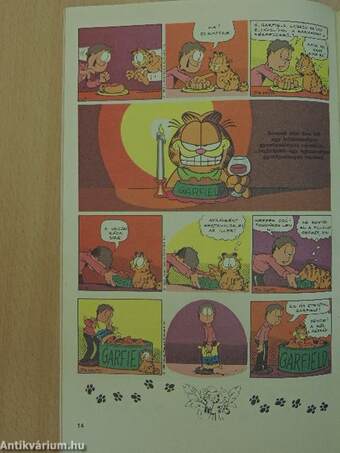 Garfield 1991/1.