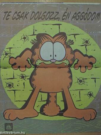 Garfield 1996/1.