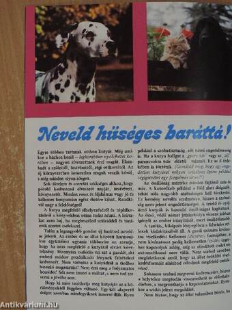 Süni 1986. július