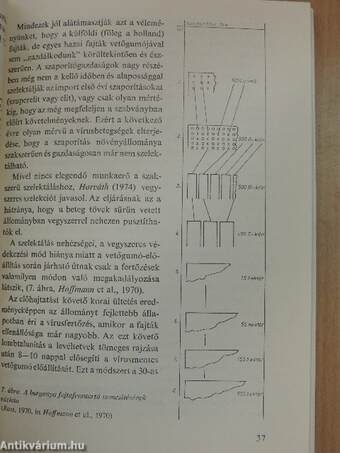 A vetőmagtermesztés genetikai alapjai