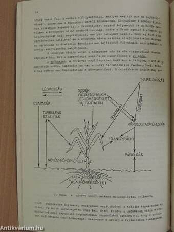 A meteorológiai tényezők és a növények