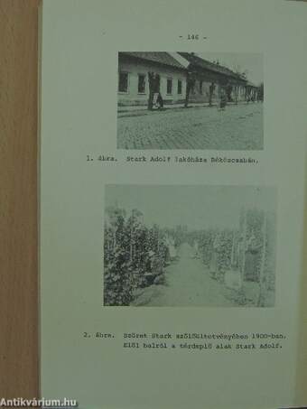 Stark Adolf szőlőnemesítő élete és munkássága /1834-1910/