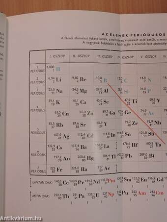 Az emberi test 1-2.