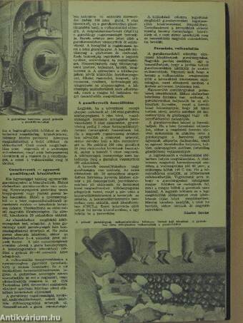 Ifjú Technikus 1955. január-december