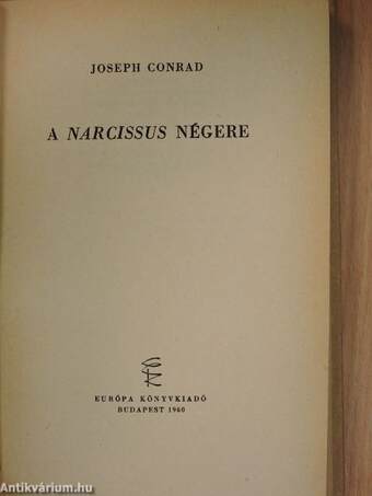 A Narcissus négere