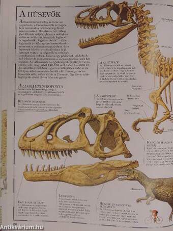 A nagy dinoszaurusz atlasz