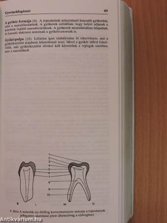 A fogászat Oxford zsebkönyve