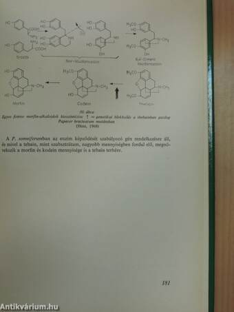 Gazdasági növényeink produkciógenetikája