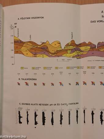 A Magyar Állami Földtani Intézet évi jelentése az 1978. évről