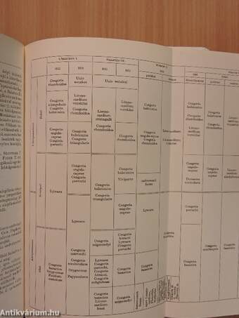 A Magyar Állami Földtani Intézet évi jelentése az 1969. évről