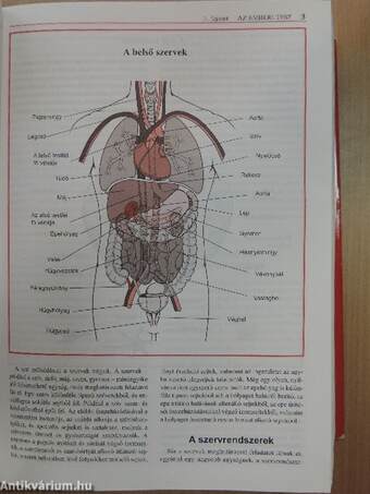 MSD Orvosi Kézikönyv a Családban