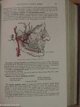 Anatomy of the Human Body