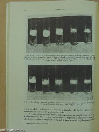 Agrártudományi Közlemények 1974/1.