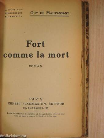 Fort comme la mort