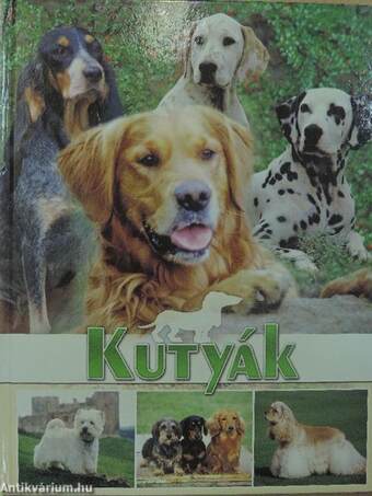 Kutyák