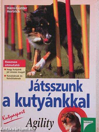 Játsszunk a kutyánkkal - Agility