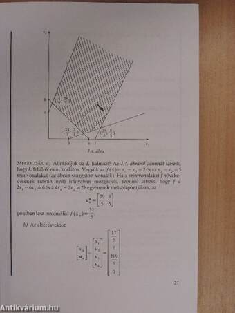 A gazdasági optimalizálás módszerei II.