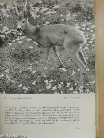 Jagd und Fischfang in der Tschechoslowakei