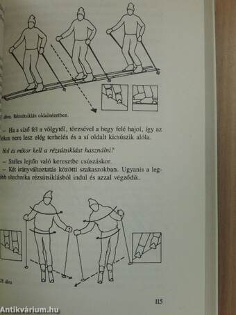 Alpesi sín-futólécen