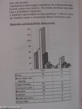 A hajléktalanok munkaerőpiaci (re)integrációjának lehetőségei Magyarországon 2003