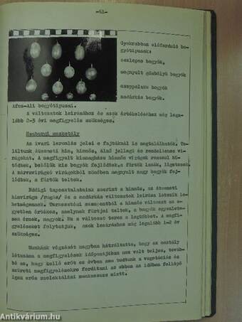 Országos Szőlő-, Gyümölcsfa és Diszfaiskolai Szaporítóanyag Felügyelőség évi jelentés 1964.