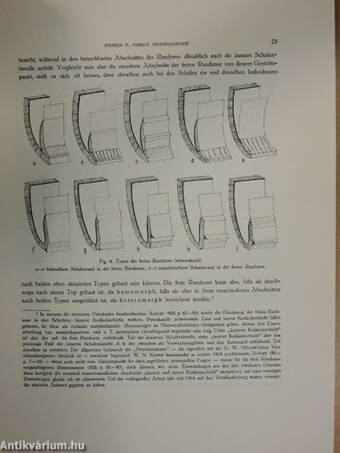 Geologica Hungarica - Series Palaeontologica 5.