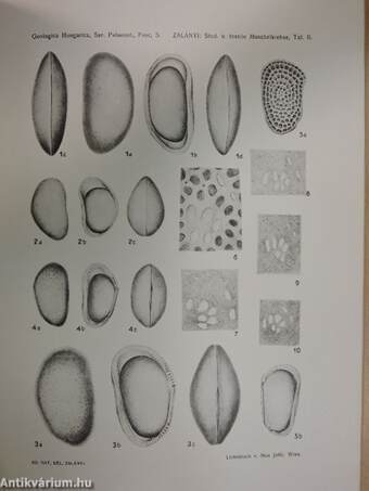 Geologica Hungarica - Series Palaeontologica 5.