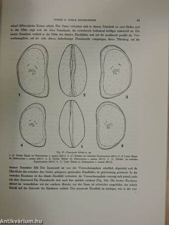 Geologica Hungarica - Series Palaeontologica 5.