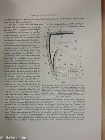 Geologica Hungarica - Series Palaeontologica 5.