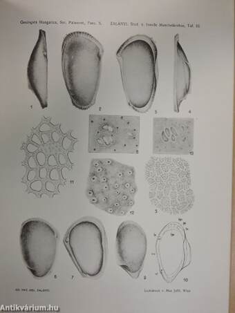 Geologica Hungarica - Series Palaeontologica 5.