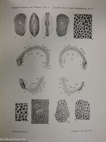 Geologica Hungarica - Series Palaeontologica 5.