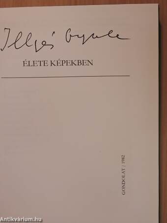 Illyés Gyula élete képekben