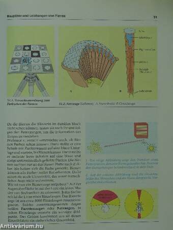 Biologie heute 2G