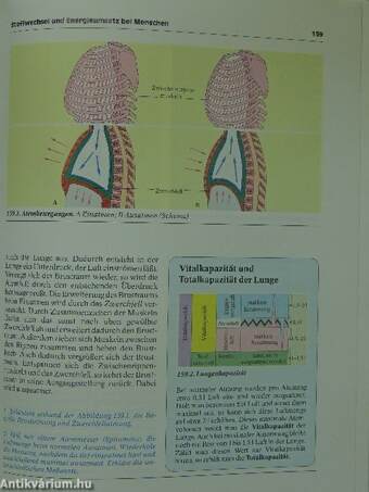 Biologie heute 2G