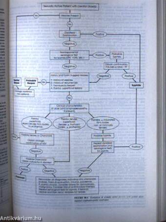 Harrison's Principles of Internal Medicine 1. (töredék kötet)