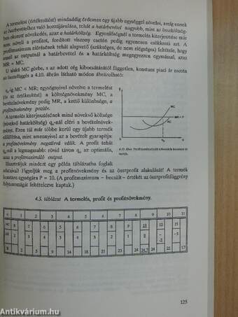 Közgazdaságtan I.