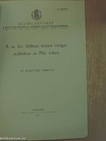 A m. kir. földtani intézet vízügyi működése az 1916. évben