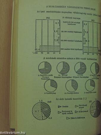 Marxizmus-leninizmus 1975-1976