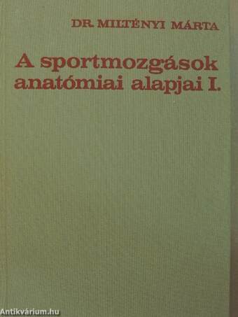 A sportmozgások anatómiai alapjai I.