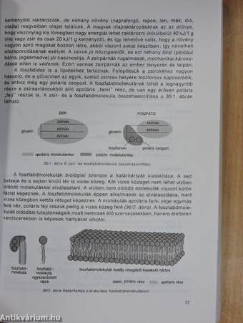 Biológia II.