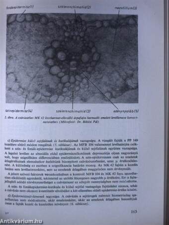 Fajtakísérletezés - fajtaminősítés 1973