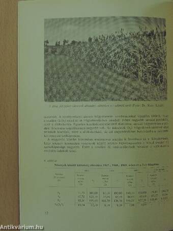 Takarmánybázis 1971/1. Melléklet-Supplement