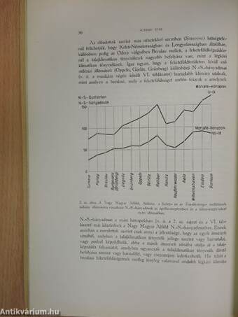 A talajklimatikus és a légköri klimatikus tényezők versenye a talajtípusok keletkezésénél