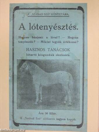 A lótenyésztés