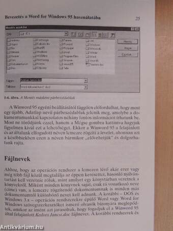 Egyszerűen Word for Windows 95