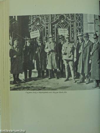A magyarországi forradalmak krónikája 1918-1919