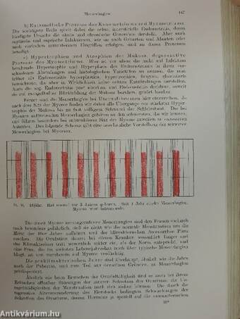 Handbuch der Frauenheilkunde für Ärzte und Studierende