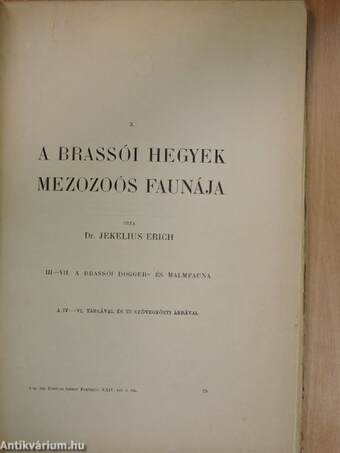 A brassói hegyek mezozoós faunája III-VII.