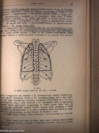 Rendszeres bonctan I-II.